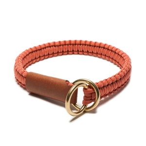 <span class=keywords><strong>Collar</strong></span> de Perro Ajustable de Cuerda Deslizante Personalizado, <span class=keywords><strong>Collar</strong></span> de Adiestramiento para Perros, <span class=keywords><strong>Collar</strong></span> de Cuerda para Mascotas - Product Image 6