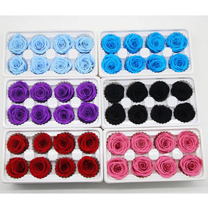 ดอกกุหลาบสดตัดขนาด 2-3 ซม. 3-4 ซม. 4-5 ซม. 5-6 ซม. 9-10 ซม. ขายส่ง ดอกไม้สดตัดจากเอกวาดอร์ - Product Image 5