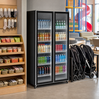 Réfrigérateur de bar personnalisé avec porte vitrée, refroidisseur de boissons et armoire de rangement pour vin/bière pour bars et chambres d'hôtel