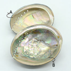 Coquille d'ormeau noire naturelle polie en gros, coquillages artisanaux pour <span class=keywords><strong>la</strong></span> fabrication <span class=keywords><strong>de</strong></span> bijoux, décoration artisanale pour brûler le <span class=keywords><strong>sauge</strong></span> - Product Image 5