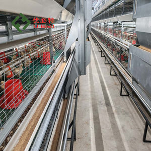 Comedero Automático <span class=keywords><strong>para</strong></span> <span class=keywords><strong>Pollos</strong></span> <span class=keywords><strong>de</strong></span> Alta Eficiencia a Precio Económico, Equipo <span class=keywords><strong>de</strong></span> Avicultura, Jaula <span class=keywords><strong>para</strong></span> <span class=keywords><strong>Pollos</strong></span> <span class=keywords><strong>de</strong></span> Engorde <span class=keywords><strong>para</strong></span> 10000 <span class=keywords><strong>Pollos</strong></span> - Product Image 4