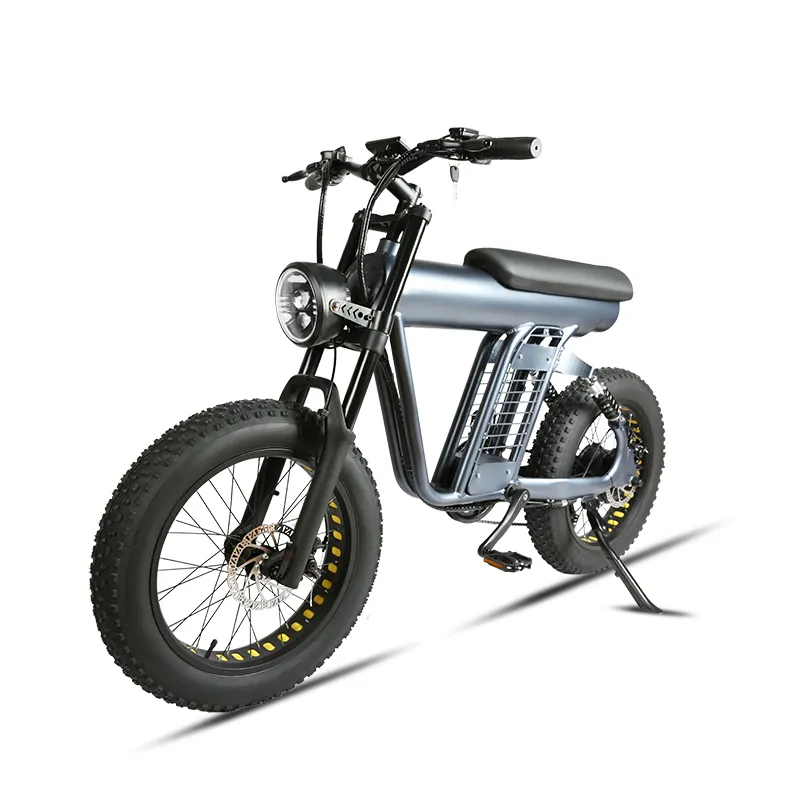 OEM ODM 20inch Tire 1000 Watts Rear Hub Motor Adult E Bike 48V 15AH Lithium Battery Electric Bicycle Disc Brake Motorcycle Ebike