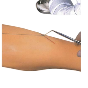 ADA <b>Medical</b> <b>Model</b> Pneumothorax / Pleural Drainage (Artificial Hydrothorax) Simulator and Advanced Suture Practice Leg - Product Image 3