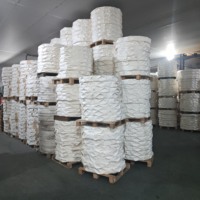 Rouleau de fond de gobelet en papier enduit de PE imperméable de haute qualité, sans fuites, matière première pour gobelets en papier, assurance qualité