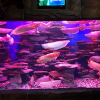 Aquarium en acrylique, Transparent, grand chantier populaire en chine, pour aquarium collection, #