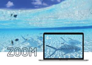 Webcam Subacquea ad Alta Velocità per Monitoraggio Piscina, Calcio Subacqueo e Nuoto Sincronizzato - Product Image 3