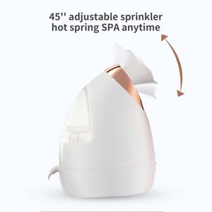 Vaporisateur facial professionnel Nano pour usage domestique 2022, vaporisateur facial sonique - Product Image 3