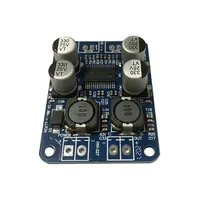 Module amplificateur audio numérique mono 60W DC 12V-24V avec puce originale TPA3110 TPA3118 28/32 broches