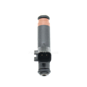 Inyector de Combustible Ford 4L8E-A4A 9F593244, Pieza de Repuesto para Uso Automotriz - Product Image 1