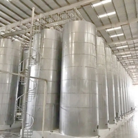 Ligne de production de vinaigre de vin de fruits de grande capacité Usine de fermentation de traitement du vin de goyave et papaye