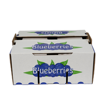 Boîtes d'emballage écologiques en carton ondulé personnalisées pour raisins avec logo / Cartons à raisins pour présentation en magasin - Remises sur les commandes en gros