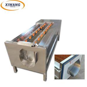 Machine de nettoyage à rouleaux haute pression industrielle pour l'usine de transformation des fruits et légumes, moteur comme composant principal - Product Image 5