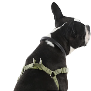 <span class=keywords><strong>Harness</strong></span> Anjing Mewah Anti Air Bahan Nylon Berkualitas Tinggi, Vest Empuk Tahan Lama dengan Desain Anti Tarik yang Dapat Disesuaikan - Product Image 4