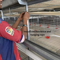 Ensemble complet d'accessoires pour cage à poulets automatique, cage empilable de type H en treillis métallique haute résistance pour l'élevage de volailles, fournisseur d'équipement