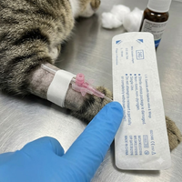 Catéter Veterinario de Alta Calidad con Puerto de Inyección, Aguja Alada para Animales, Cánula Desechable