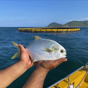 Jaula de Pesca Flotante de HDPE, Jaula de Acuicultura en Alta Mar, Jaula de Cultivo de Tilapia en Lagos y Lista de Precios - Product Image 4