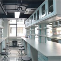 Muebles de Laboratorio Modernos SCEELAB, Totalmente de Acero, con Superficie de Resina Fenólica para Mesa de Laboratorio, Funcionales y Versátiles