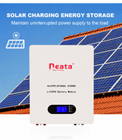 Sistem Penyimpanan Energi Rumah Tangga Neata 51.2V 48V 100Ah 200Ah 300Ah Baterai Lithium LiFePO4