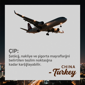 Transporte puerta a puerta de China a Turquía con transporte aéreo y marítimo profesional, agente de servicios logísticos exprés DDP - Product Image 3