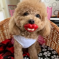 Jouet à mâcher amusant en forme de sucette, jouets à lancer, lèvres rouges, base blanche