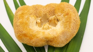 Hochwertiger Hericium Erinaceus Extrakt in Großmengen Getrocknetes Löwenmähnen-Pilzpulver Hericium Erinaceus Polysaccharid-Körperpulver - Product Image 2