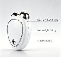 Rouleau de massage facial portable à micro-courant, rechargeable par USB, avec télécommande sans fil, pour raffermir la peau – Fournisseur d'usine