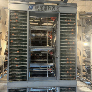 Jaula de Alambre Galvanizado Tipo H para Gallinas Ponedoras, 100000 Unidades, para Avicultura Comercial - Product Image 4