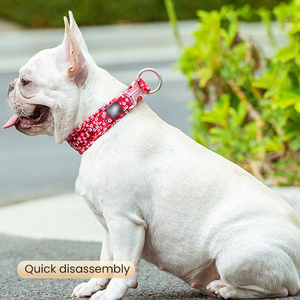 Collar de perro de calidad de color personalizado y correa recubierta de PVC antideslizante collar de perro impermeable suave collar de perro de PVC - Product Image 3
