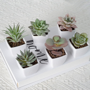 Plantas de bonsái suculentas artificiales, arbustos verdes falsos de plástico, Mini <span class=keywords><strong>Echeveria</strong></span> maceta, decoración de escritorio, macetas suculentas Nórdicas - Product Image 2