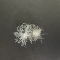 Matériau de rembourrage lavé certifié RDS IDFL, certifié EN12934, certifié OEKO-TEX, 80% duvet de canard blanc 700FP pour literie et vêtements OEM ODM