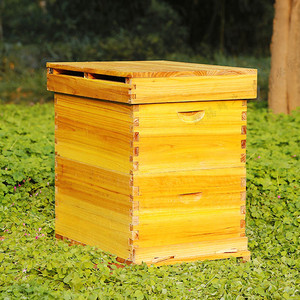 New style hot sale Bee keeping deep box 1 or 2 layer Langstrong beehive