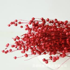 Usine en gros véritables arrangements de fleurs séchées <span class=keywords><strong>lin</strong></span> séché naturel pour la Saint-Valentin maison et mariage décor Bouquet - Product Image 4