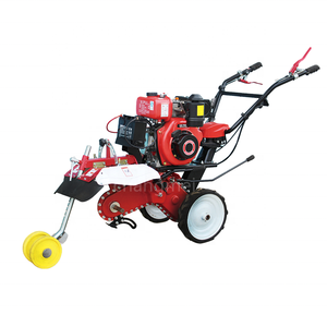 Zaino portatile diserbo mitragliatrice Marketing chiave cilindro componenti di alimentazione del nucleo pompa motore <span class=keywords><strong>per</strong></span> agricoltura giardino diserbo - Product Image 6