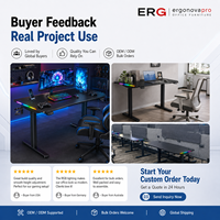 Escritorio Eléctrico RGB para Juegos, Ajustable en Altura, con Superficie de Fibra de Carbono