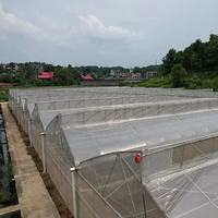 Grande serre tunnel hydroponique à ventilation naturelle avec filet anti-insectes, structure en acier, contrôle climatique, pour l'agriculture