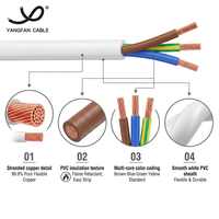 Cable Flexible Multifilar de Cobre/PVC/PVC, 300/500V, 2-5 Hilos, Cable Eléctrico de Cobre Trenzado para Electrodomésticos