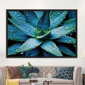 Printed Canvas: Succulent Plant with Water Droplets Wall Art,<b>BLACK</b> <b>FRAMED</b> CANVAS - Product Image 3