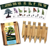 Meilleur kit de culture de coings japonais pour bonsaï kit de culture de jardin véritable bonsaï kit de culture d'encens mini kit de jardin pour bureau maison sac cadeau