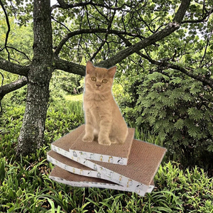 Fabrieksgroothandel 65*40*9cm Ovale Papieren Ecologische Kattenboom Gesneden Stijl Alle Seizoenen OEM - Product Image 4