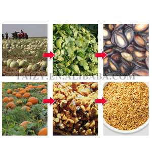 <span class=keywords><strong>Precio</strong></span> en Kenia de Extractor de Semillas de Melón, <span class=keywords><strong>Sandía</strong></span> y Pepino con Capacidad de 300-500 Kg/h - Product Image 2