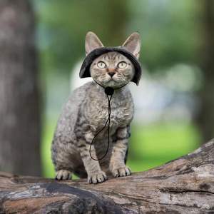 Sombrero con Orificio para las Orejas, Mini Sombrero de Sol para Gatitos, Gorra de Vaquero para Mascotas, <span class=keywords><strong>Chihuahua</strong></span>, Gorra para Escalar al Aire Libre, Sombreros para Fiestas de Cumpleaños, Halloween - Product Image 5