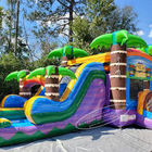 Combo de châteaux sautants de toboggan gonflable de maison de rebond de Tiki de qualité commerciale pour des enfants et des adultes