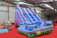Toboggan aquatique gonflable Winsun, double piste, aire de jeux pour enfants, en PVC, certifié CE, ignifuge, imperméable, sans plomb