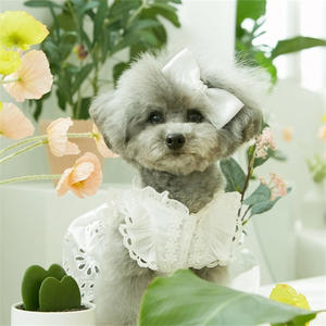 2025 Pet Verão Renda Princesa Saia Dog Cat Roupas Finas + Headwear - Product Image 2