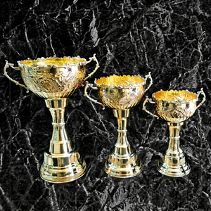 Stainless Steel Sports <b>Trophy</b> <b>Cup</b> Customized Achievement Award Display Durable Premium Quality - Product Image 1