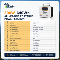 Station d'alimentation portable tout-en-un 640Wh 300W avec batterie LiFePO4, générateur solaire à onde sinusoïdale pure avec sorties AC, DC et USB Type-C