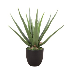 <span class=keywords><strong>Planta</strong></span> Artificial de <span class=keywords><strong>Aloe</strong></span> <span class=keywords><strong>Vera</strong></span> en Maceta <span class=keywords><strong>Grande</strong></span> de Estilo Nórdico para Decoración Moderna de Hogar u Oficina, <span class=keywords><strong>Planta</strong></span> Suculenta Realista - Product Image 5
