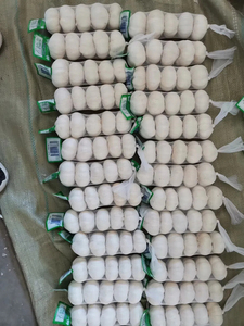 Toptan Premium Taze Çin Sarımsağı |   Normal Beyaz Sarımsak Fabrikası Tedarikçisi |   Düşük Fiyatlı Toplu İhracat Sarımsak - Product Image 2