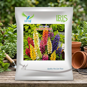 Graines de fleurs hybrides d'iris et de lupin séchées, feuillage en forme de palmier, fleurs mixtes multicolores, importées, 100 jours jusqu'à la maturité - Product Image 2