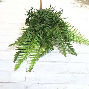 En çok satan yüksek kalite farsça yaprak ev ve düğün dekor yapay plastik yapraklar buket Fern bırakır - Product Image 6